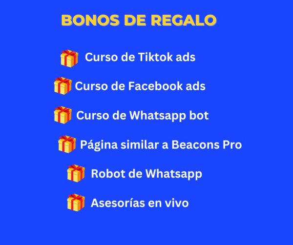 299- Bonos (1)